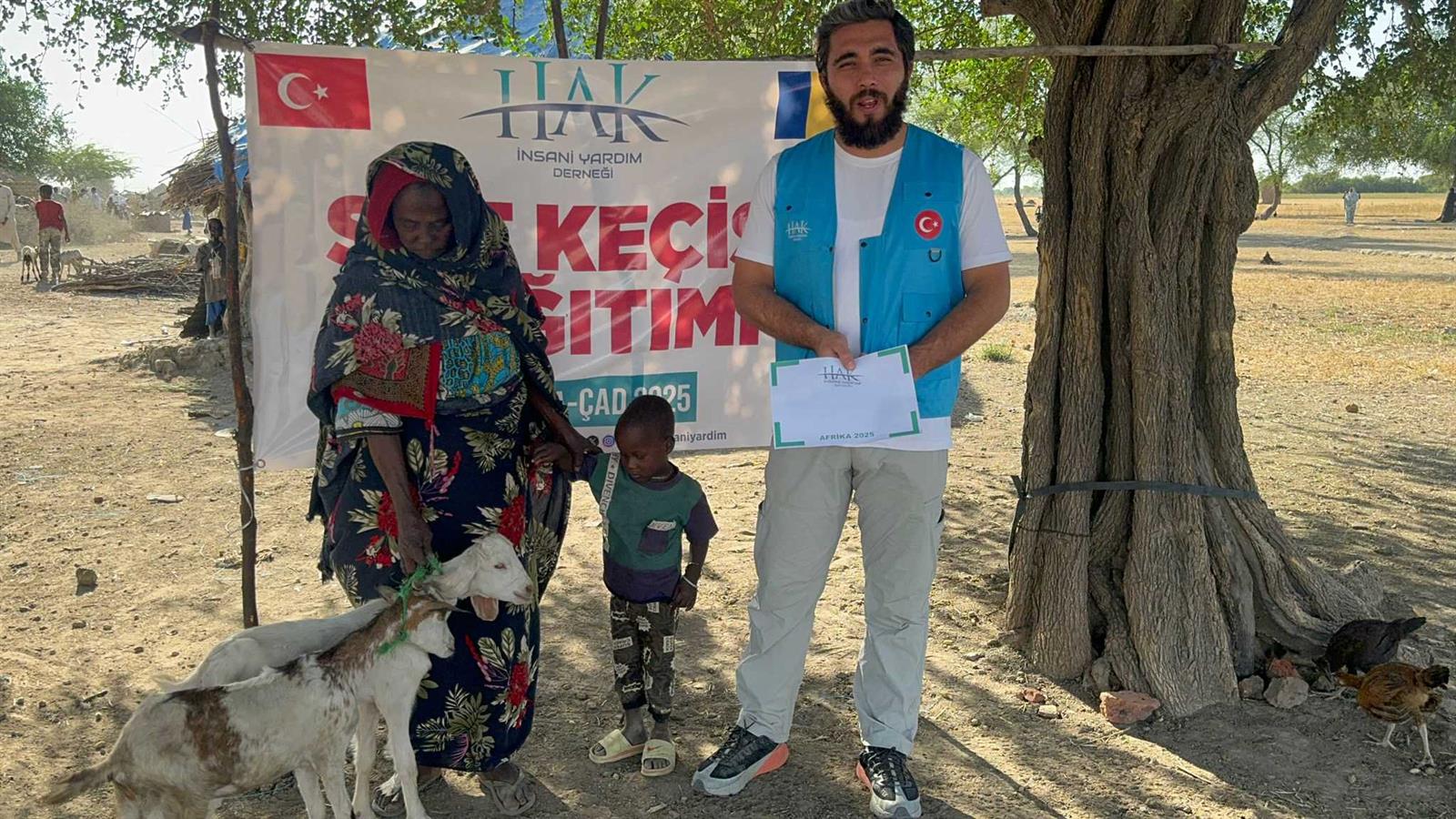 Çad'da Süt Keçisi Dağıtımı süt keçisi (1)