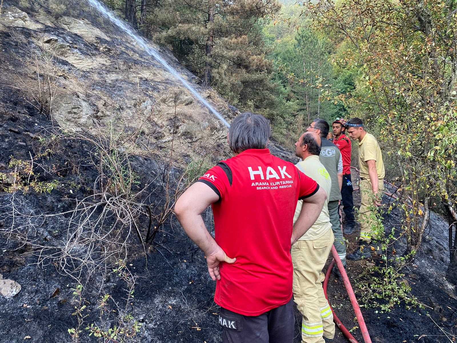 Karabük'te Orman Yangınına Müdahale yangın (3)