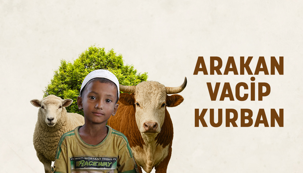 Arakan Vacip Kurban